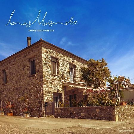 Ianos Maisonette Paralia Sergoulas Exterior photo